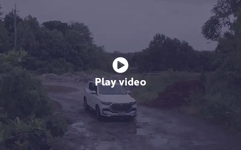 Rexton7